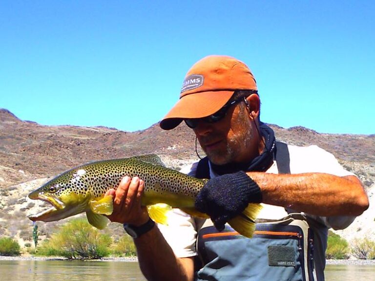 1511733 636087926453824 2140970385 n 768x576