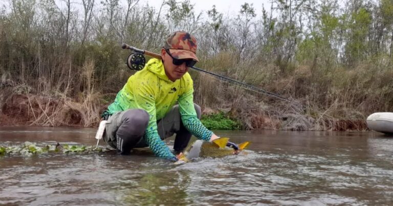 339084409 6133195296763922 7327021513832022346 n 768x402