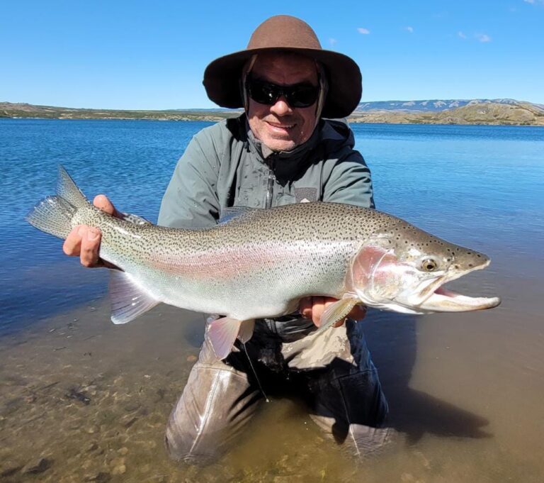 WhatsApp Image 2024 04 27 at 14.58.08 2 1 768x681